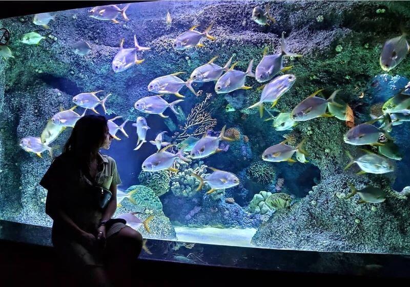 AQUARIUM