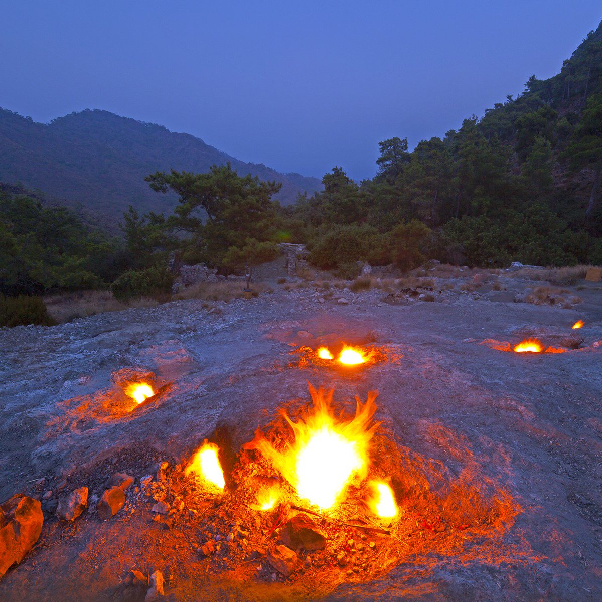 WIECZORNE SAFARI CHYMERA