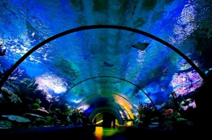 AQUARIUM